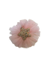 Pink Poppy Pirouette Glitter Star Tulle Hairclip
