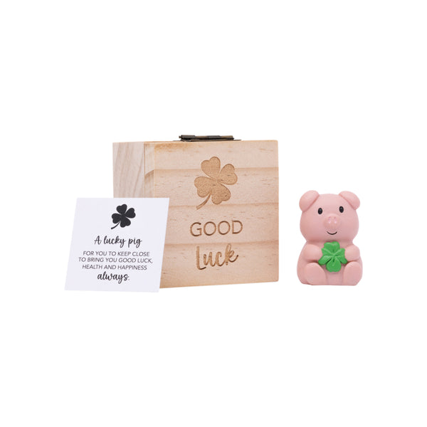 Good Luck Pocket Promise